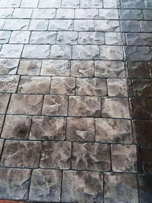  بيطون امبريمي الجزائر 