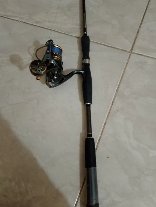 Canne à pêche et moulinet 