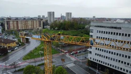 Soima grue a tour رافعة برجية 
