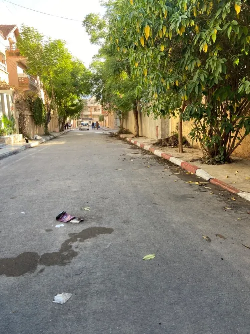 Vente Villa Blida Chiffa