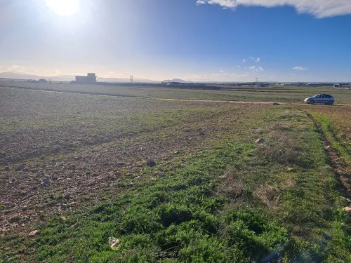 Vente Terrain Sétif Guidjel
