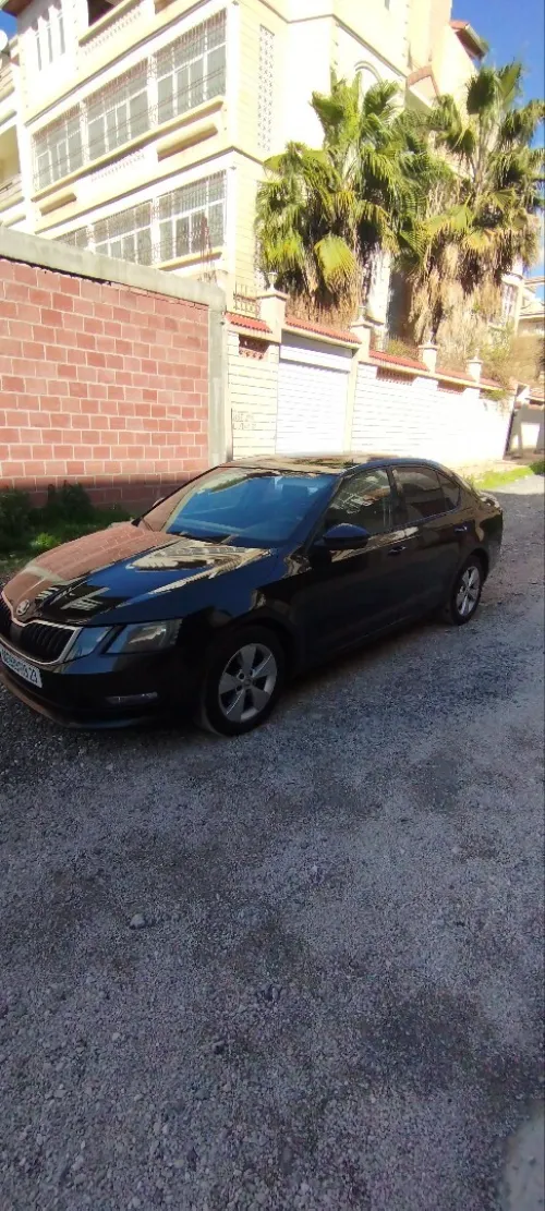 Skoda Octavia 2019 Business