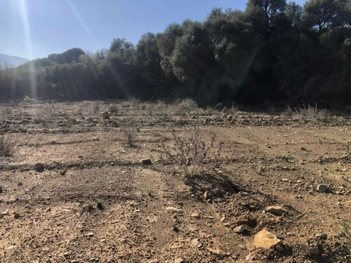Vente Terrain Bouira Lakhdaria