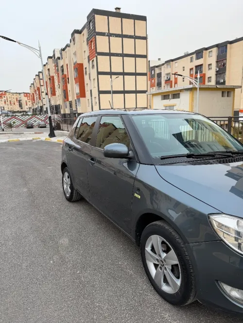 Skoda Fabia 2014 Fresh