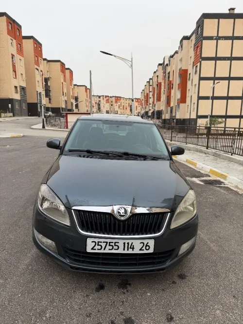 Skoda Fabia 2014 Fresh