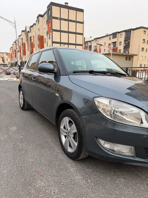 Skoda Fabia 2014 Fresh