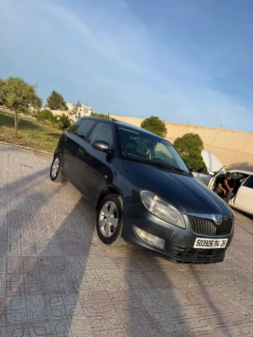 Skoda Fabia 2014 Fresh
