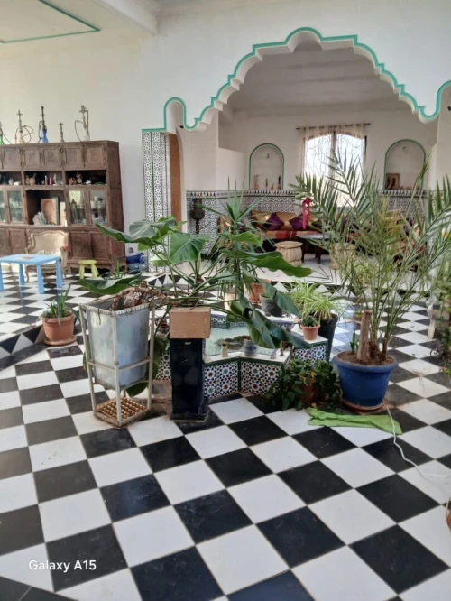 Vente Terrain Agricole Oran Boutlelis