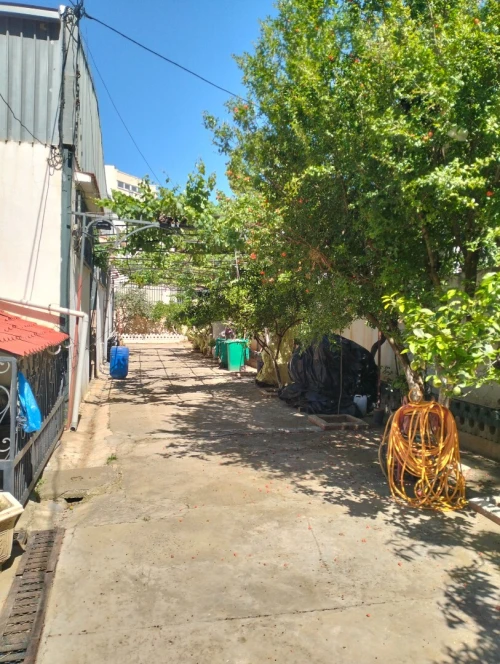 Location Hangar - Usine Tipaza Bou ismail
