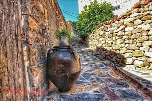 Excursion Yennayer Village Sahel  