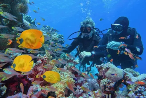 Voyage organise a Caire & Sharm El Sheikh 