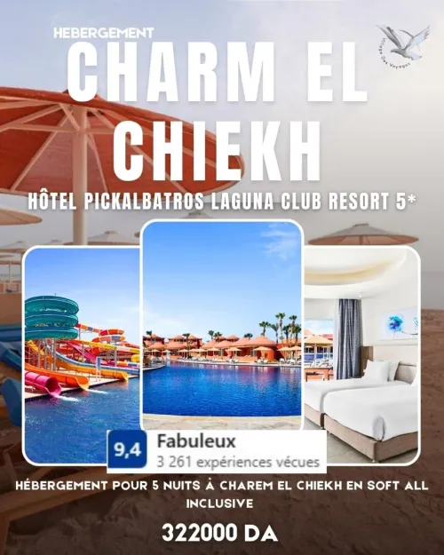 voyage organise cairo + sharm el sheikh - new year