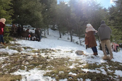 Sorties et excursions pour groupes a la carte 