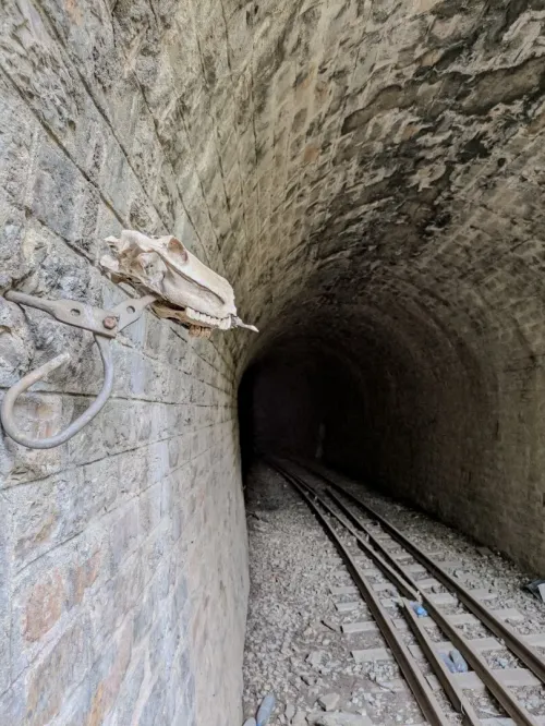 RANDONNEE LES TUNNELS DE CHEMIN DE FER EL HAMDANIA 
