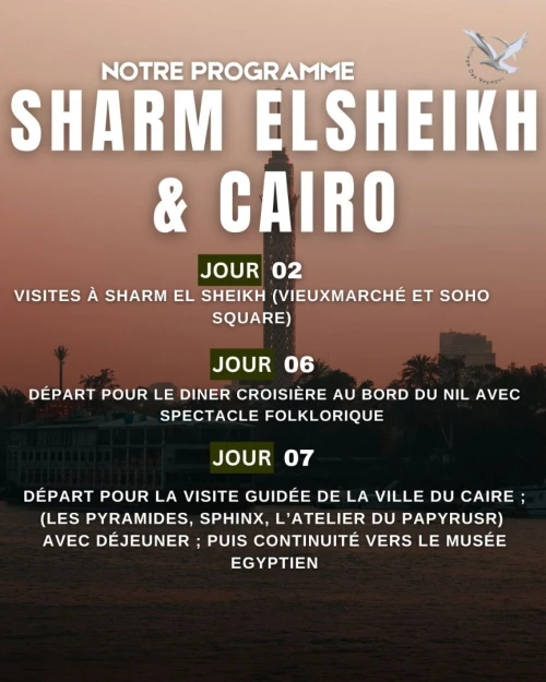 voyage organise cairo + sharm el sheikh - new year