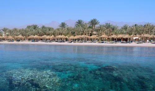 Voyage organise a Caire & Sharm El Sheikh 