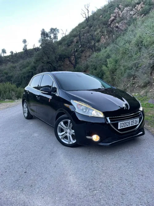 Peugeot 208 2015 Roland Garros