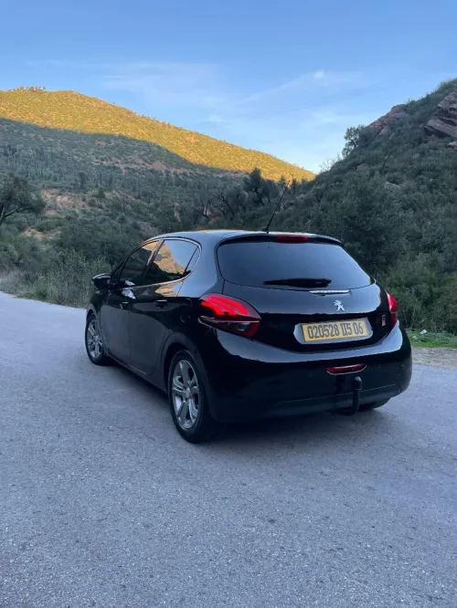 Peugeot 208 2015 Roland Garros