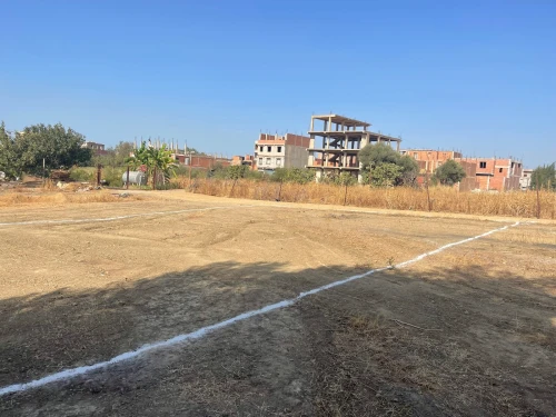 Vente Terrain Blida Bougara