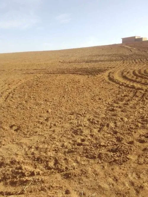 Vente Terrain Agricole Tiaret Dahmouni