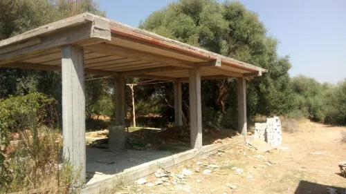 Vente Carcasse Blida Chebli