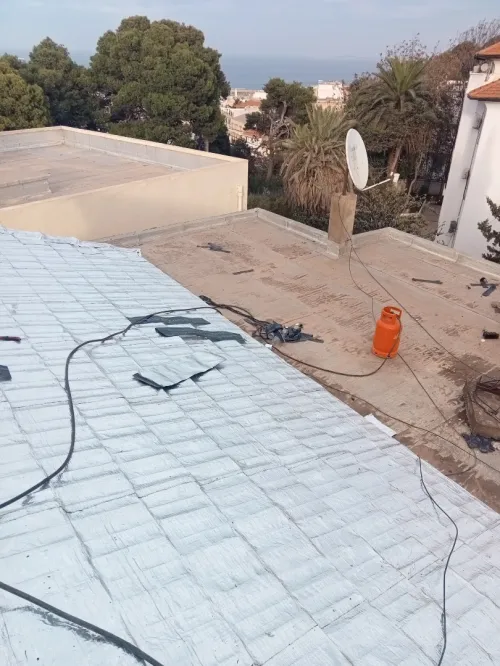 Travaux étanchéité 