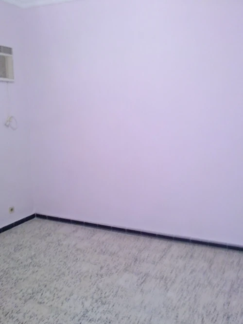 Vente Villa Aïn Defla El amra