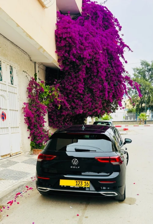 Volkswagen Golf 8 2023 R