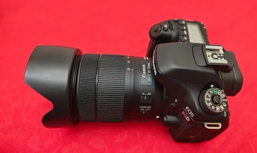 Canon 80D