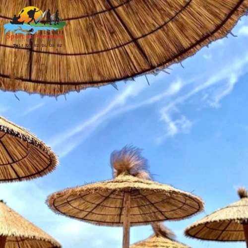 Parasols en Paille Naturelle - Hôtels, Plages & Piscines