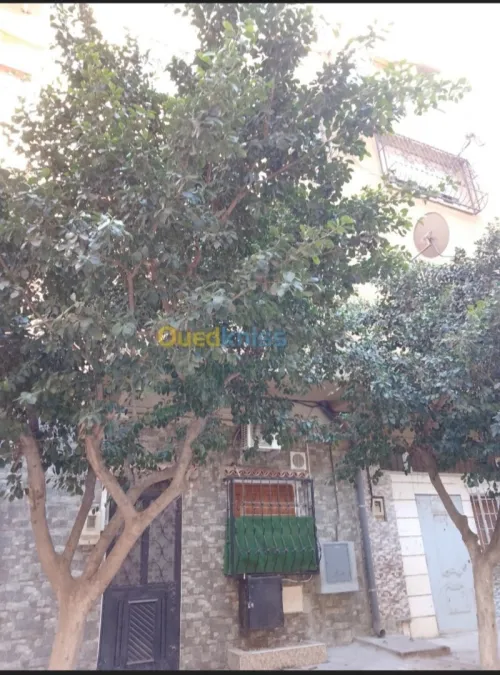 Location Appartement Studio Alger Bordj el bahri
