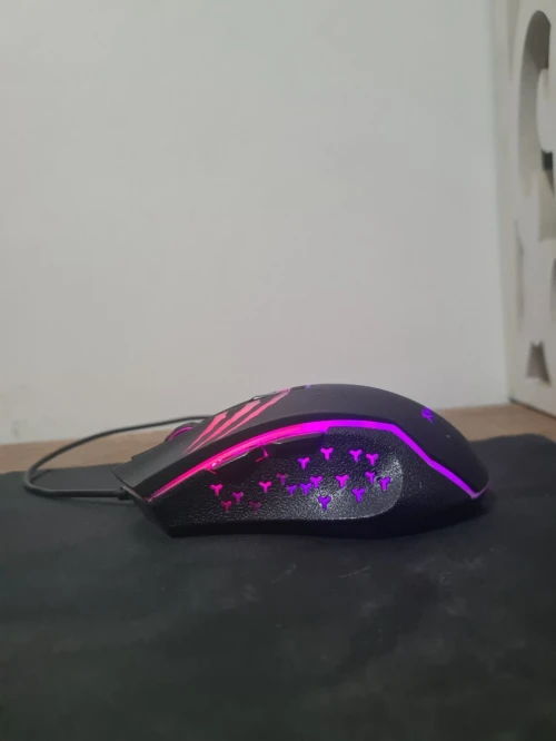 souris gaming