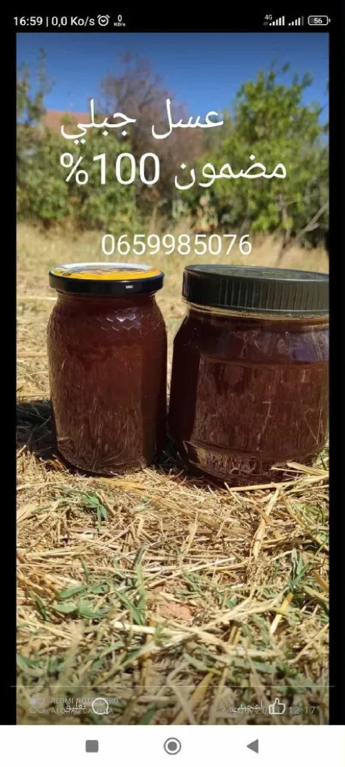 عسل الجبال البرية 
