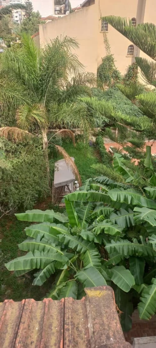 Vente Villa Alger Birkhadem