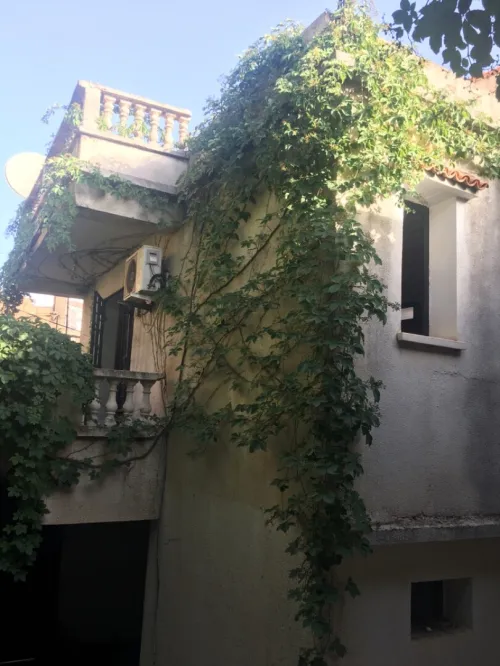 Location Alger Dely brahim