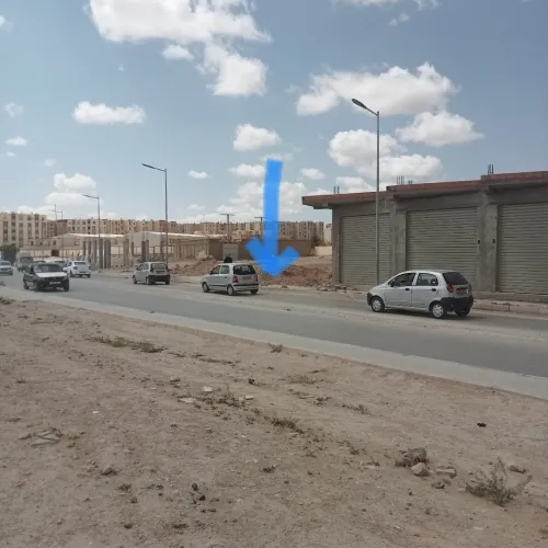 Vente Terrain Djelfa Djelfa