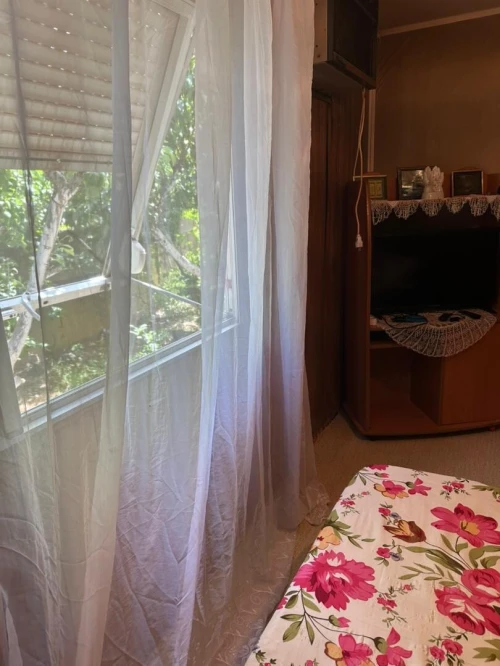 Location Appartement Chlef Tenes