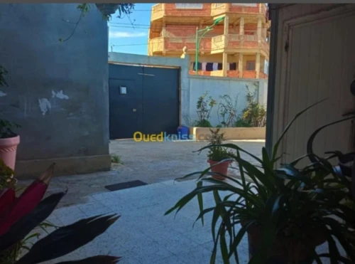 Location Appartement Chlef Tenes