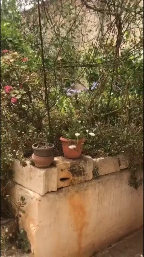 Vente Villa Alger Rais hamidou
