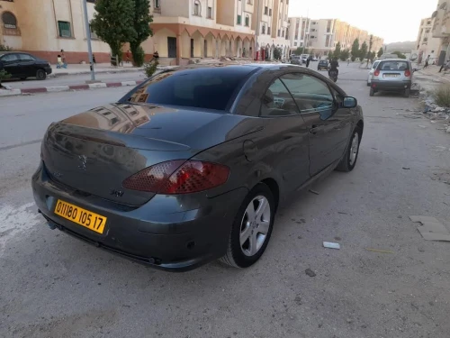 Peugeot 307 2005 307