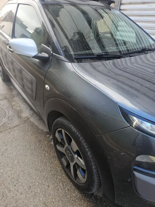 Citroen C4 Cactus 2015 C4 Cactus