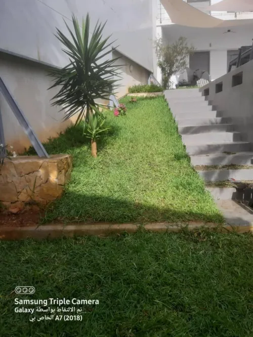 Gazon Naturel et plantes
