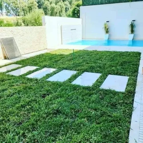 Gazon Naturel et plantes