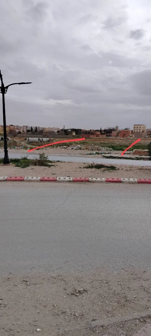 Vente Terrain Djelfa Djelfa