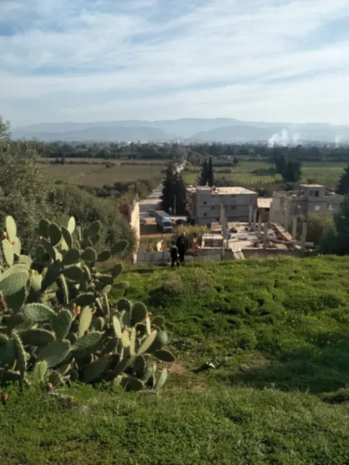 Vente Terrain Boumerdès Leghata