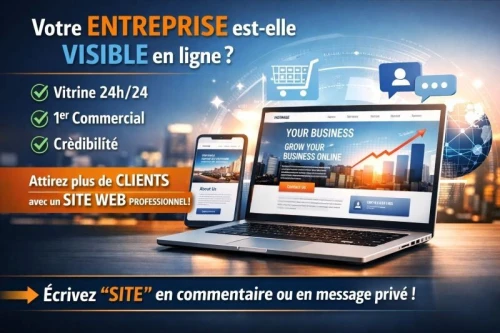 Conception de Sites Web & Gestion des réseaux sociaux