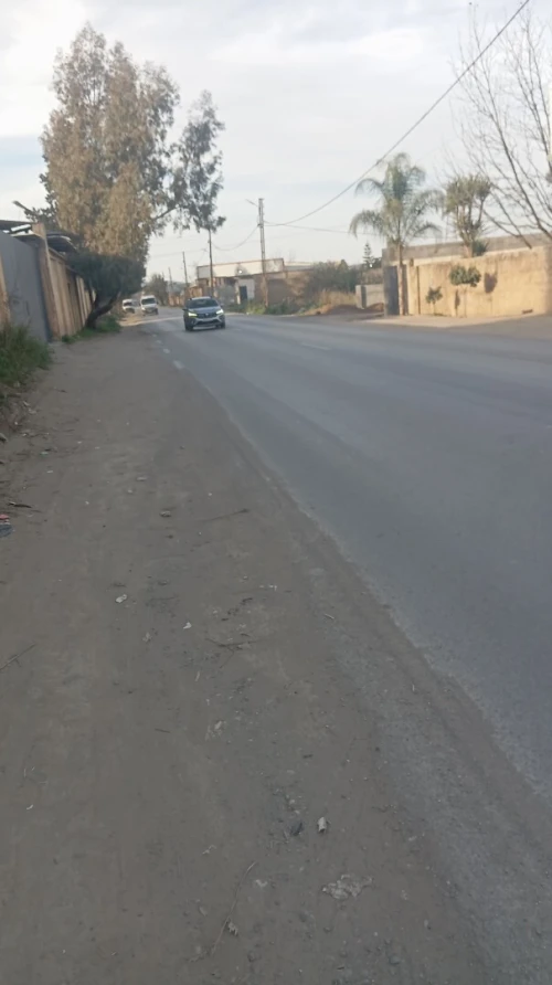 Location Terrain Blida Ben khellil