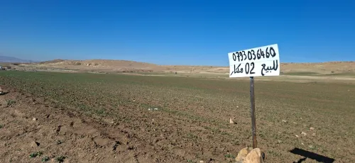 Vente Terrain Agricole Bordj Bou Arreridj El anseur