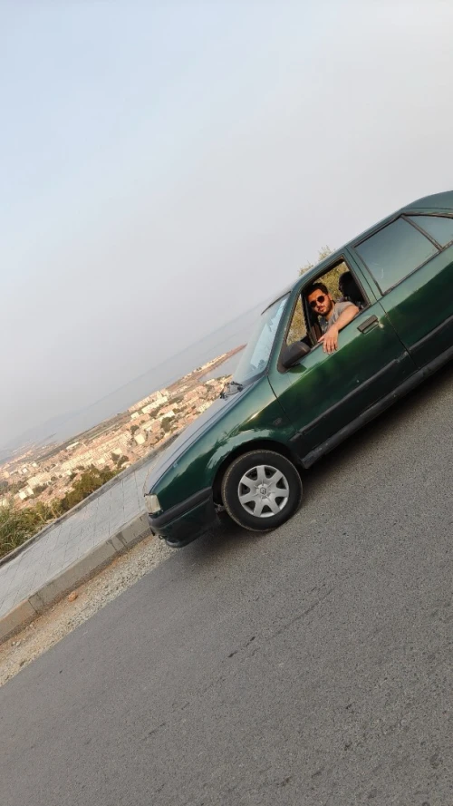 Renault 19 1995 19