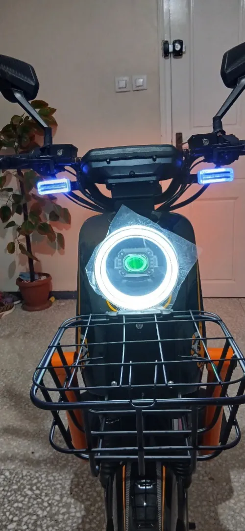 Scoozer Scoozer 19 2025